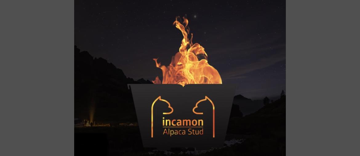 Fire Pit