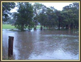 Rain Rain Rain