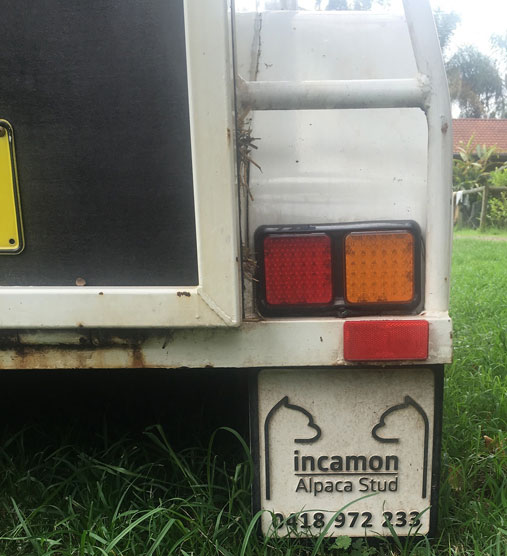 mudflaps 2
