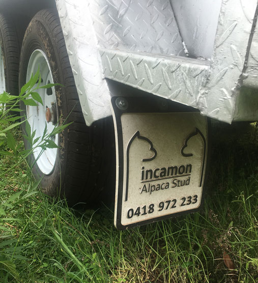 mudflaps 3